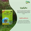 نمک سبز رژیمی