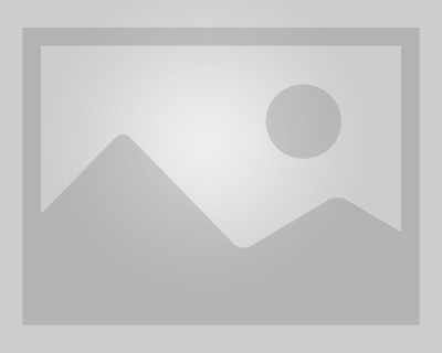 فروش توله ژرمن شپرد وبالغ با کیفیت بالا