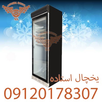 ???? یخچال ایستاده، انتخابی شیک برای نگهداری بهتر مو