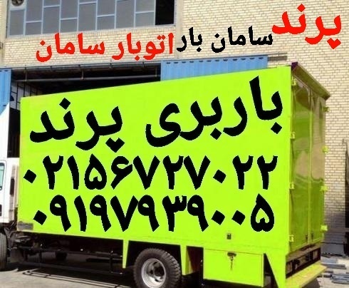 باربری پرند ❓⁉️فاز ۶